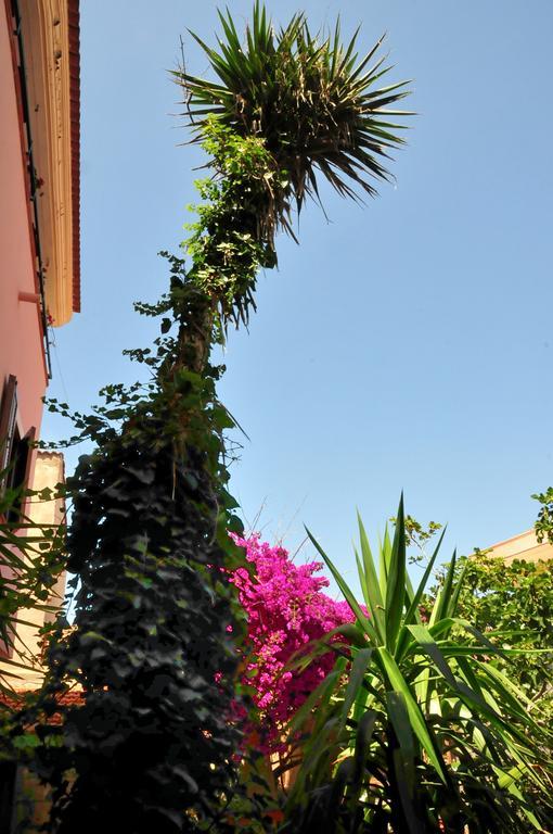 B&B L'Umbra Di Lu Soli Castelsardo Exterior foto